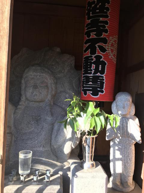 長善寺の仏像