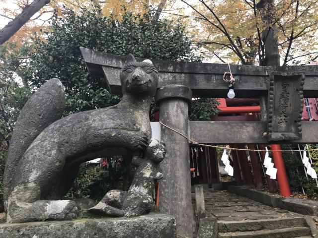 安積國造神社の狛犬