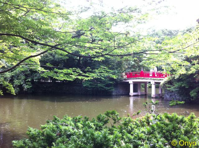 武蔵一宮氷川神社の自然