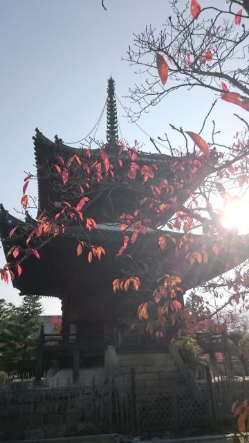 叡福寺の塔
