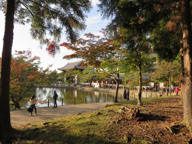 東大寺の庭園