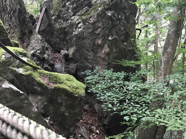 外森神社の自然