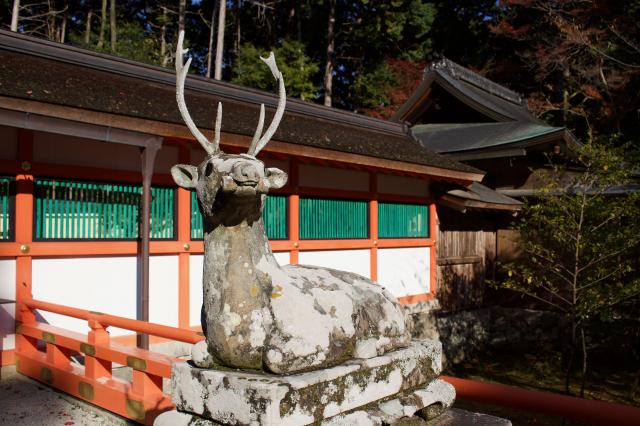 大原野神社の狛犬
