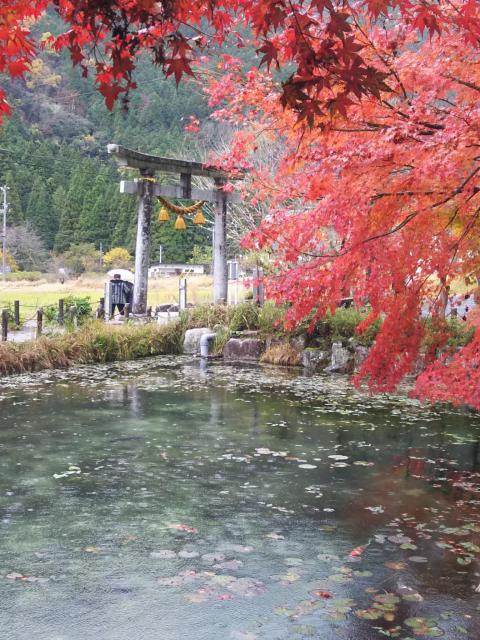根道神社の庭園
