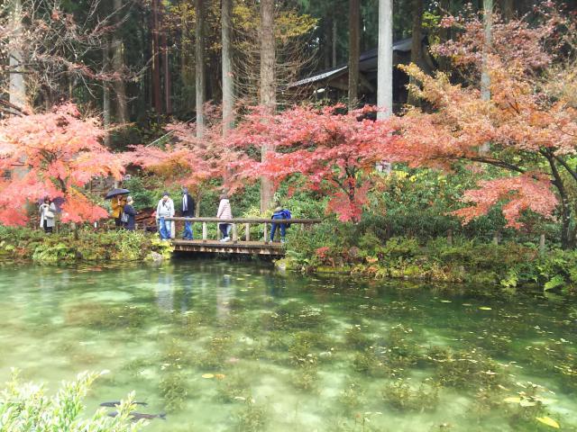 根道神社の庭園
