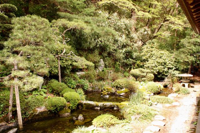 大寳寺の庭園