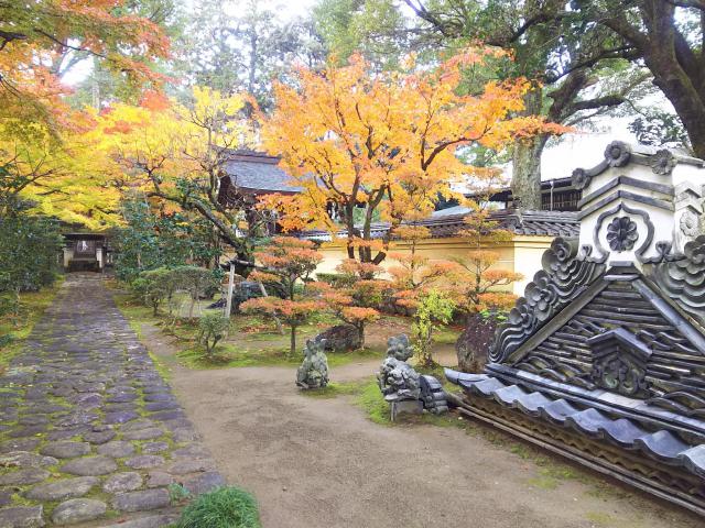 清泰寺の庭園