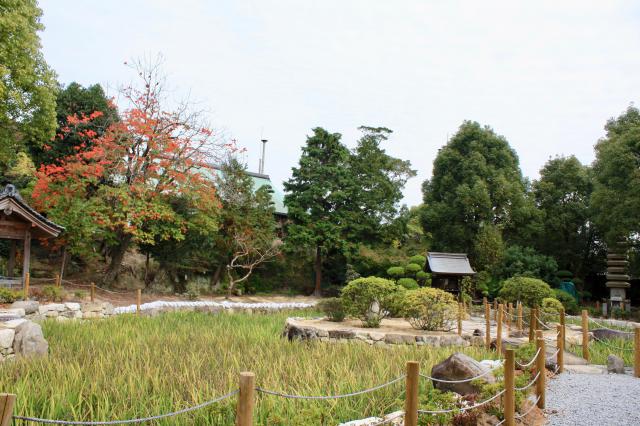 多聞寺の庭園