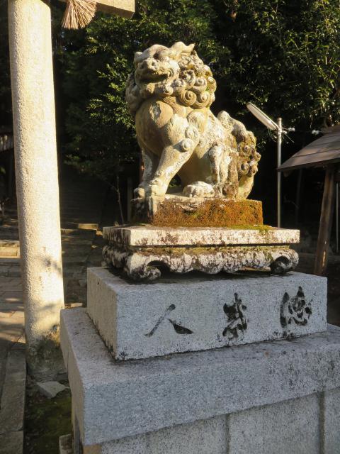 八神社の狛犬