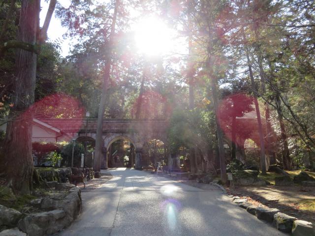 南禅寺の自然