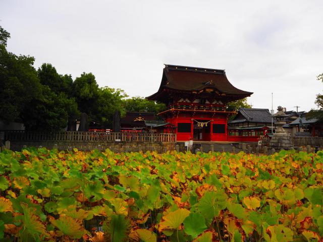 伊賀八幡宮の庭園