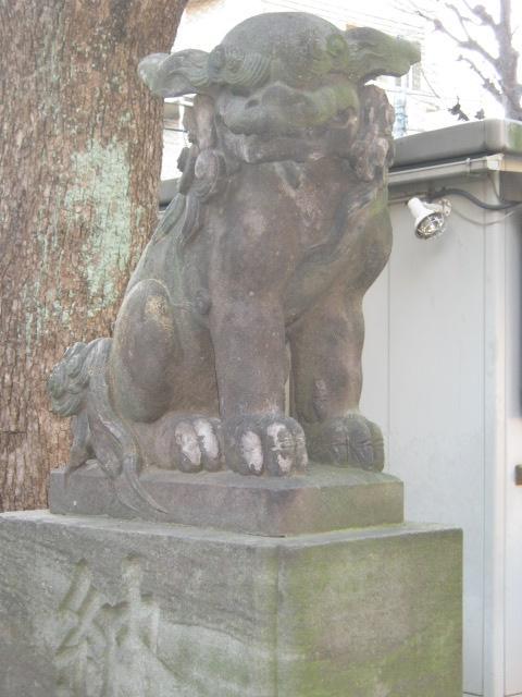 橘樹神社の狛犬