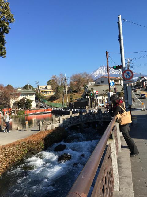 富士山本宮浅間大社の自然