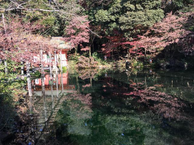 富士山本宮浅間大社の庭園