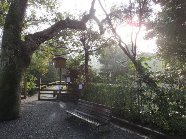 嚴島神社 (京都御苑)の自然