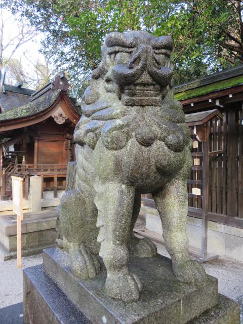 宗像神社の狛犬