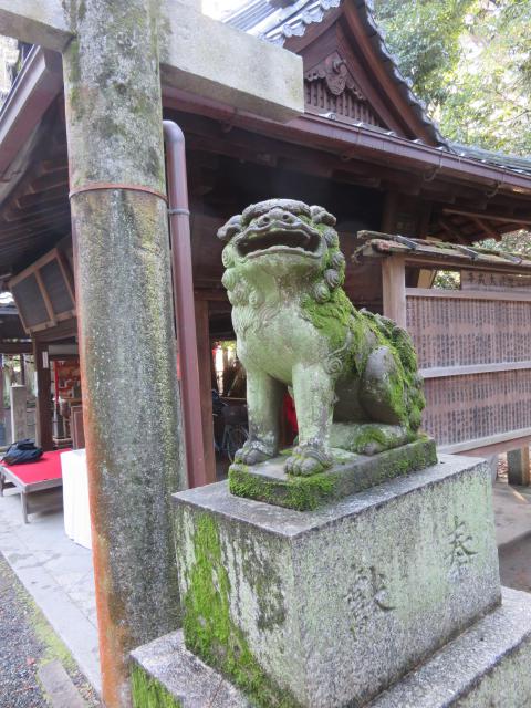 白雲神社の狛犬