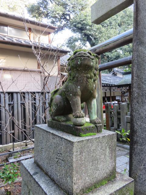 白雲神社の狛犬