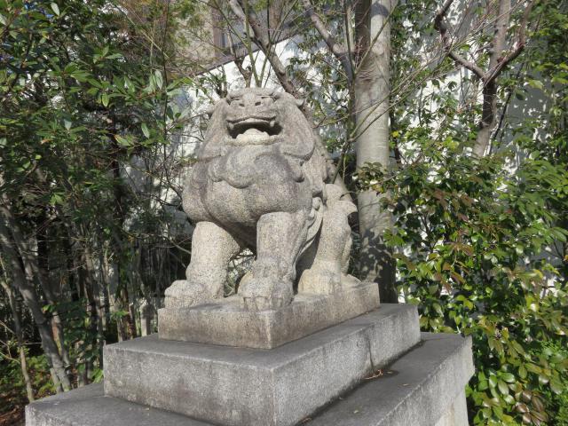 晴明神社の狛犬