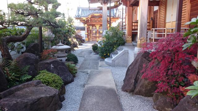 本性寺の庭園