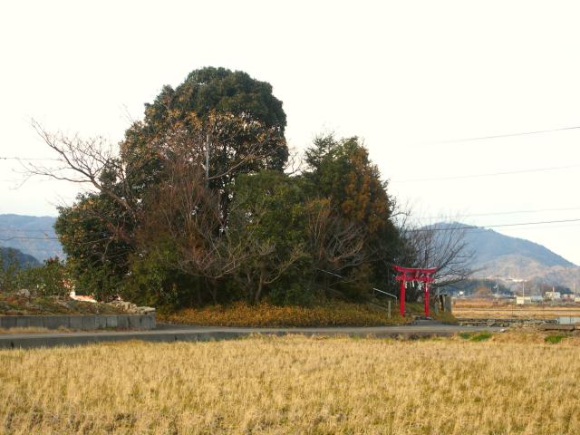 厳島神社（弁天山）の自然