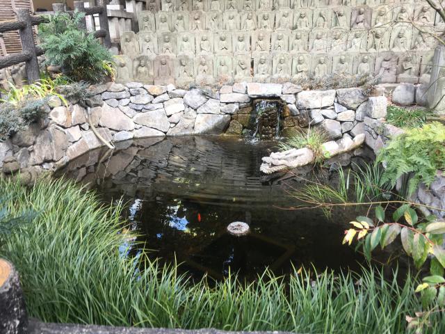 大圓寺の庭園