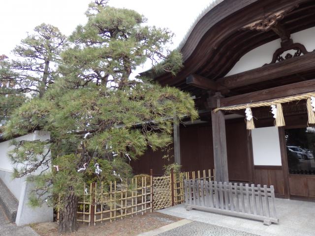 五社神社　諏訪神社の自然