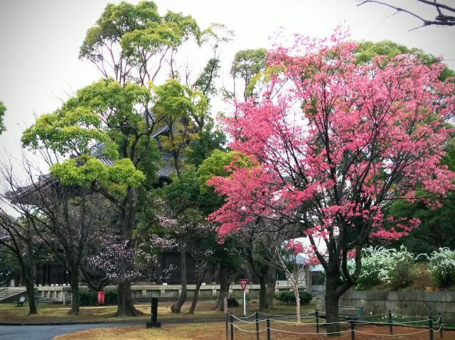 総持寺の庭園