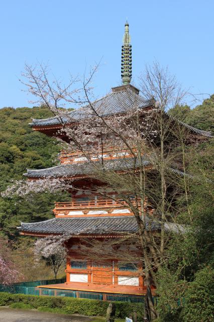 清水寺の塔
