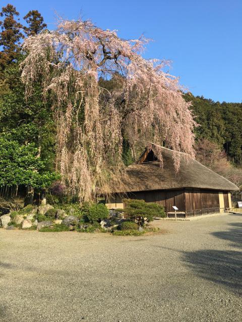 高麗神社の庭園
