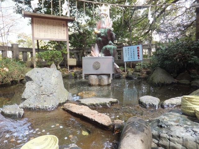 江島神社の庭園