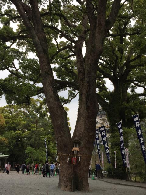 加藤神社の自然
