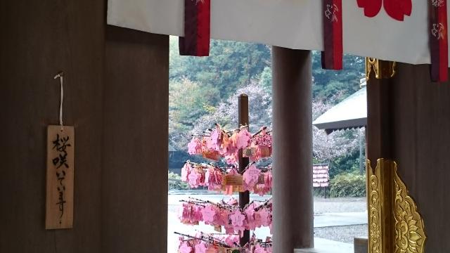 櫻木神社の絵馬