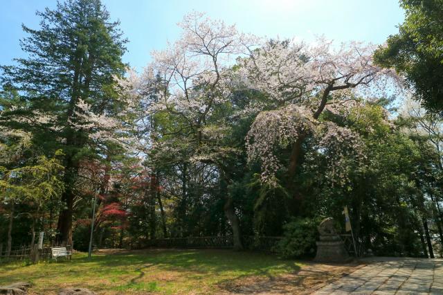 青葉神社の庭園