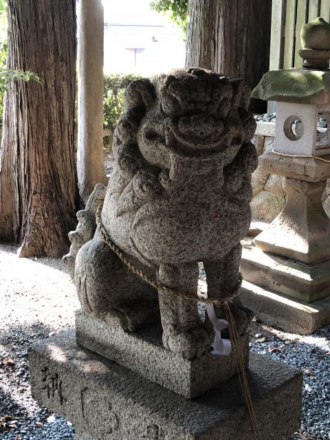 小川神社の狛犬