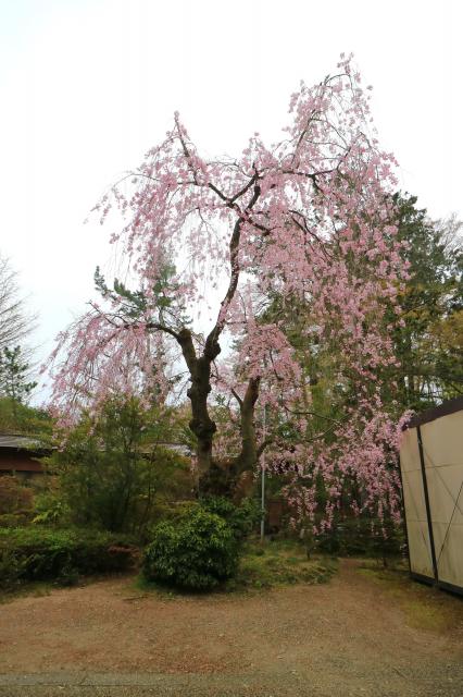 神明社の庭園