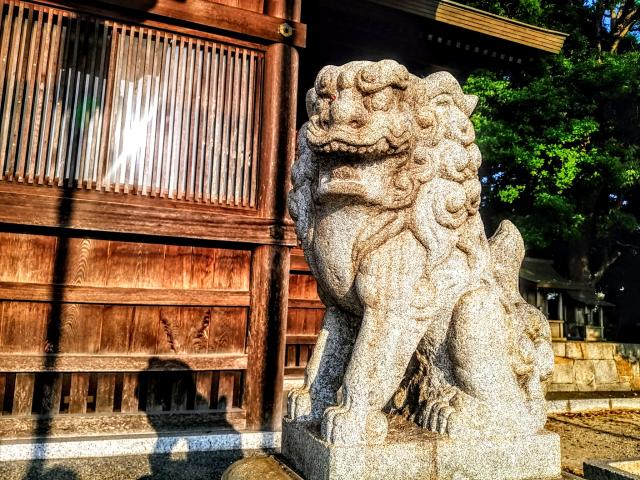 熊野神社（新田熊野神社）の狛犬