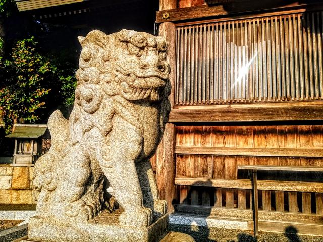 熊野神社（新田熊野神社）の狛犬