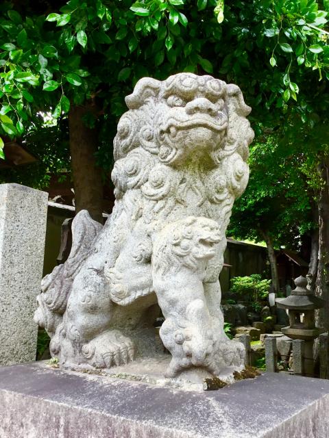 日置神社の狛犬