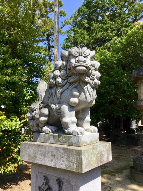 大井神社の狛犬