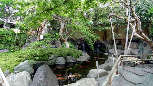 樹源寺の庭園