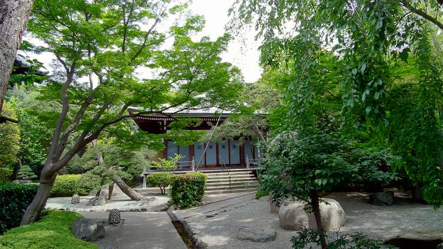 樹源寺の庭園