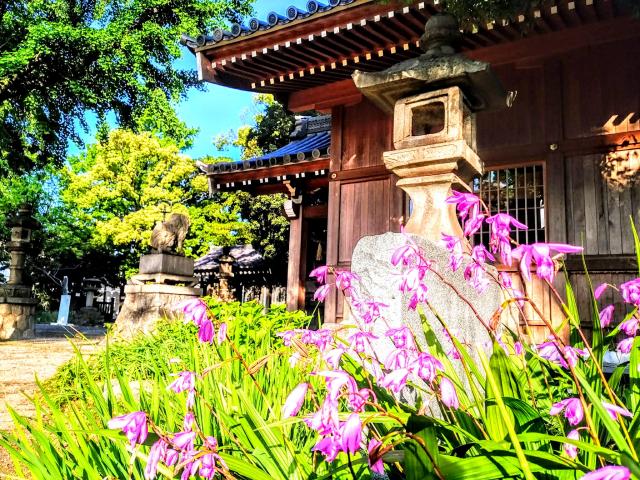 愛宕神社の庭園