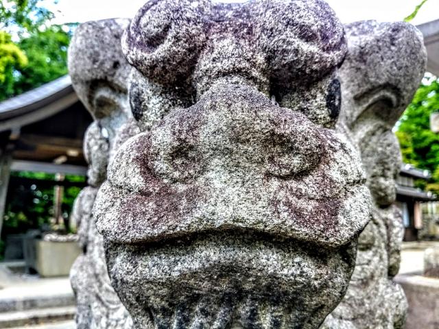 船津神社の狛犬