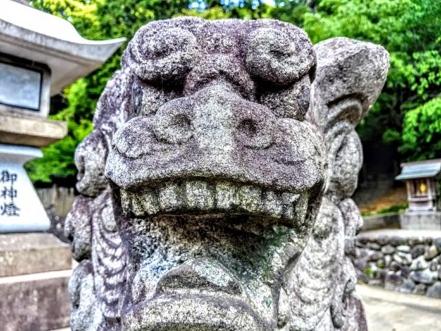 船津神社の狛犬