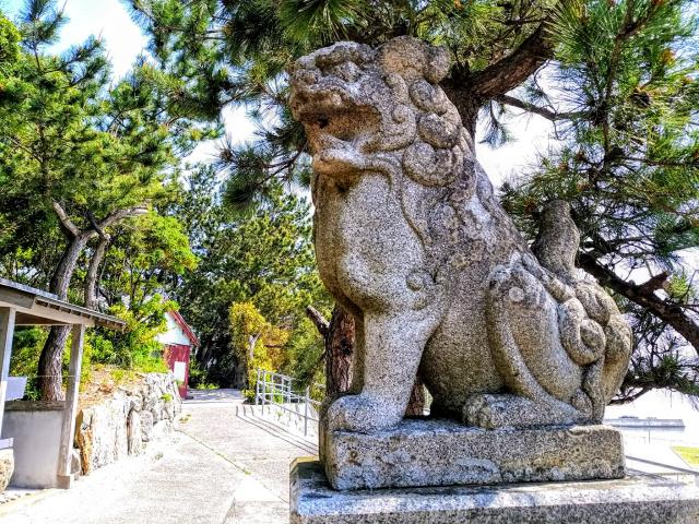 日間賀神社の狛犬