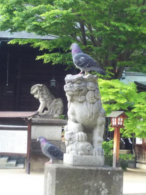 四柱神社の動物