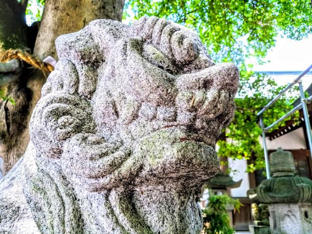 萱津神社の狛犬