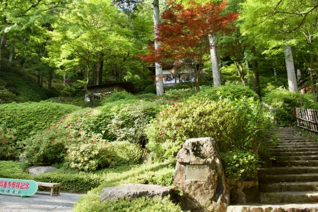 大興善寺の庭園