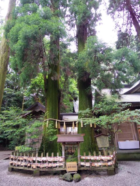 高千穂神社の庭園